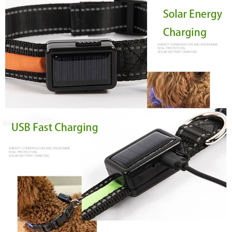 Solar Charging Led Dog Collar USB Rechargeable Night Safety Collar Perro Led Usb Adjustable Pet Led Dog Collar Light Usb Glowing