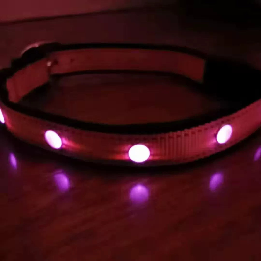 Night Dog Walking Dog LED Luminous Collar/Hand Holding Rope Pet Collar Collar Teddy Small and Medium-Sized Dogs Traction Belt