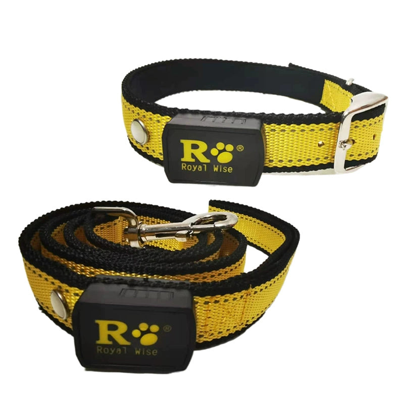 Night Dog Walking Dog LED Luminous Collar/Hand Holding Rope Pet Collar Collar Teddy Small and Medium-Sized Dogs Traction Belt